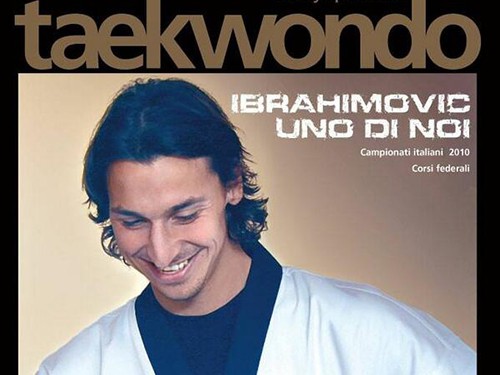 Zlatan Ibrahimovic: Luật sư hay võ sư?