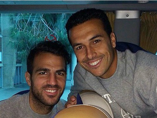 Pedro sắp tái ngộ Fabregas tại Chelsea?