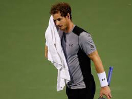 Andy Murray ngã đau tại Citi Open